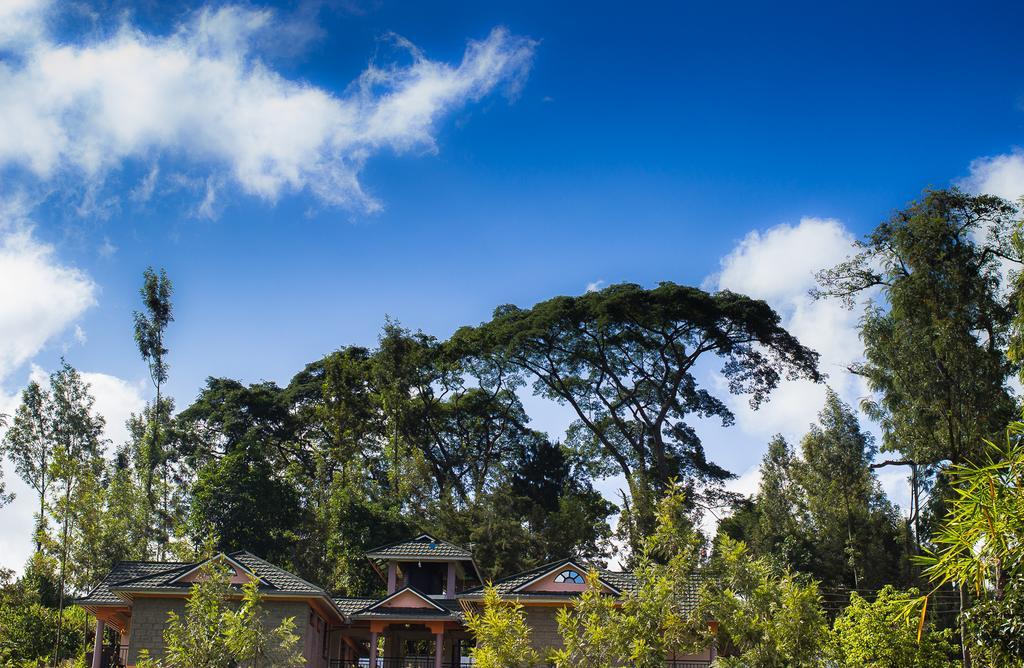 Kuniville Guest House 니에리 외부 사진